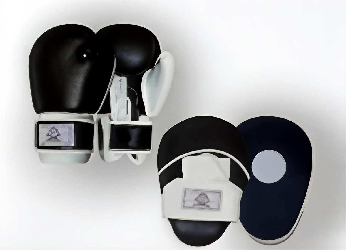 Focus Pads and Boxing Gloves Set Hook & Jabs Mitts Punch Bag Gym Training MMA